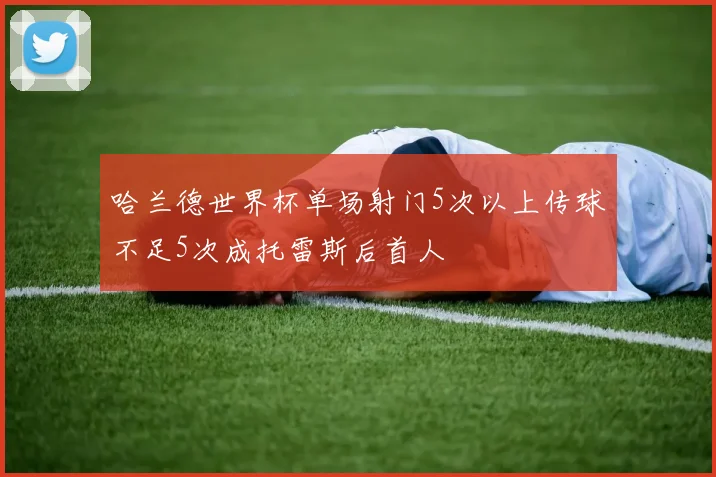 哈兰德世界杯单场射门5次以上传球不足5次成托雷斯后首人