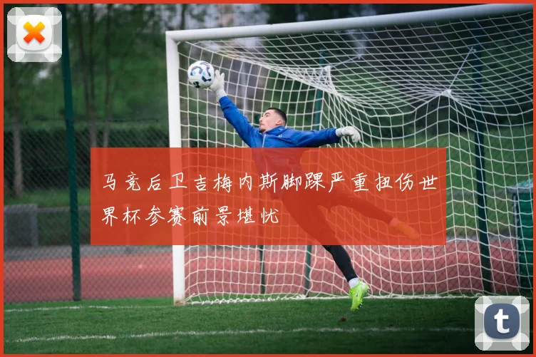 马竞后卫吉梅内斯脚踝严重扭伤世界杯参赛前景堪忧